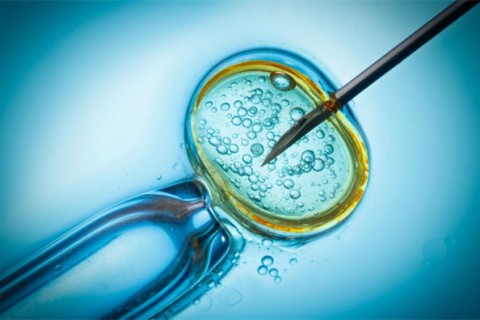 http://nanjing.qqkaixin.com/post/199.html|南京供卵助孕